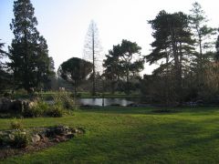 Cambridge University Botanic Gardens