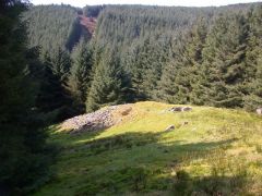 Carn Ban
