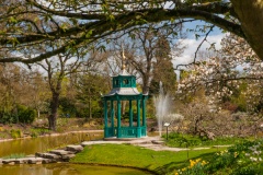 The Water Garden