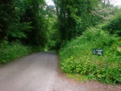 Colby Woodland Garden