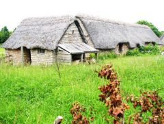 Cosmeston Medieval Village