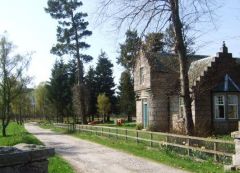 Dinnet
