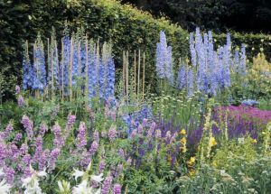 Dorneywood Garden