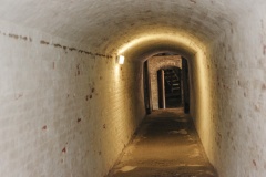 The Medieval Tunnels