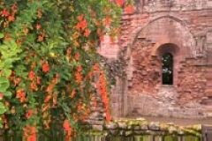 Dryburgh Abbey
