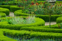Formal garden beds at Duncombe Park