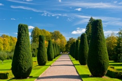A sunny topiary walk