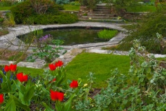 A garden pool