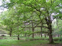 Hamptworth Lodge