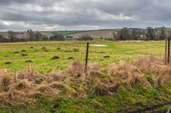The site of Hatfield Barrow