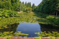 The stew pond at Ingatestone