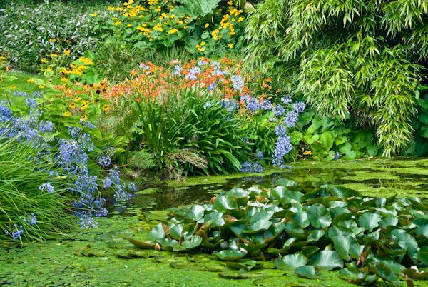 Logan Botanic Garden History Travel And Accommodation Information Water Garden 2