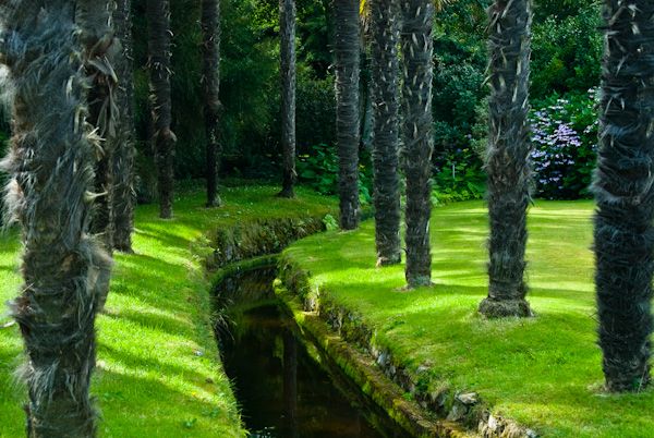 Logan Botanic Garden History Travel And Accommodation Information C Feature