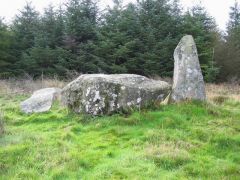 Loudon Wood Stone Circle