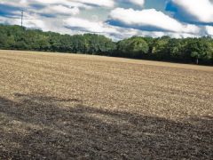 Membury Hillfort