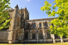 Milton Abbey