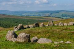 Looking towars a forestry plantation below