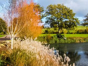 National Botanic Garden of Wales