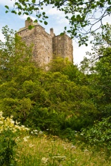 Neidpath Castle