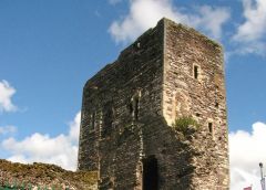 Newport Castle