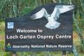 Loch Garten Osprey Centre