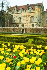 Spring flowers outside the hall