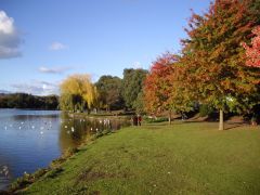 Roath Park