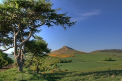 Roseberry Topping