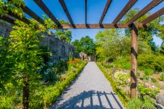 A trellis in the gardens