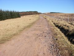 Sarn Helen Roman Road