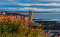 St Andrews Castle