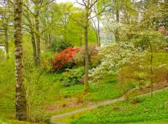 Stagshaw Garden