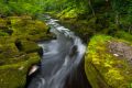 The Strid