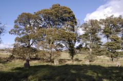 Sunhoney Stone Circle