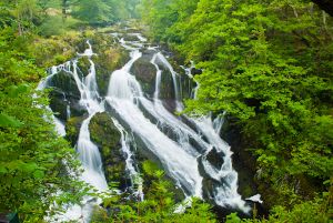 Swallow Falls Waterfall