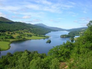 Tay Forest Park