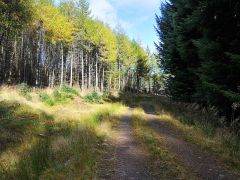 Tay Forest Park, Loch Tummel, Loch Rannoch and Rannoch Moor
