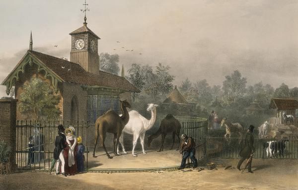 http://www.britainexpress.com/images/attractions/editor/The-camel-house-1835-pd.jpg