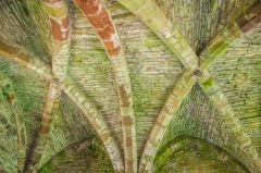 Warming Room vaulting