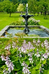 Formal front gardens