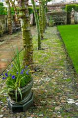 A cobbled garden walk