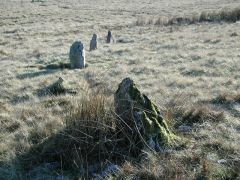 Trecastle Mountain (Y Pigwyn)