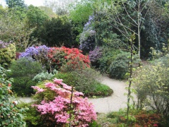 Trewithen gardens (C) Rod Allday