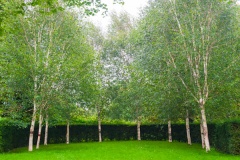 Whipsnade Tree Cathedral