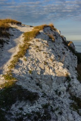 Closeup of the chalk that makes up the Cliffs