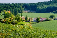 Approaching Chapel Farm and Yatton Chapel
