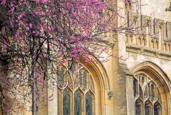 St Mary the Virgin Church, Oxford