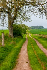 Following the Roman road