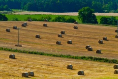 Battle of Auldearn battlefield