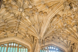 The ceiling vaulting